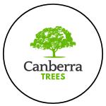 Canberra Trees